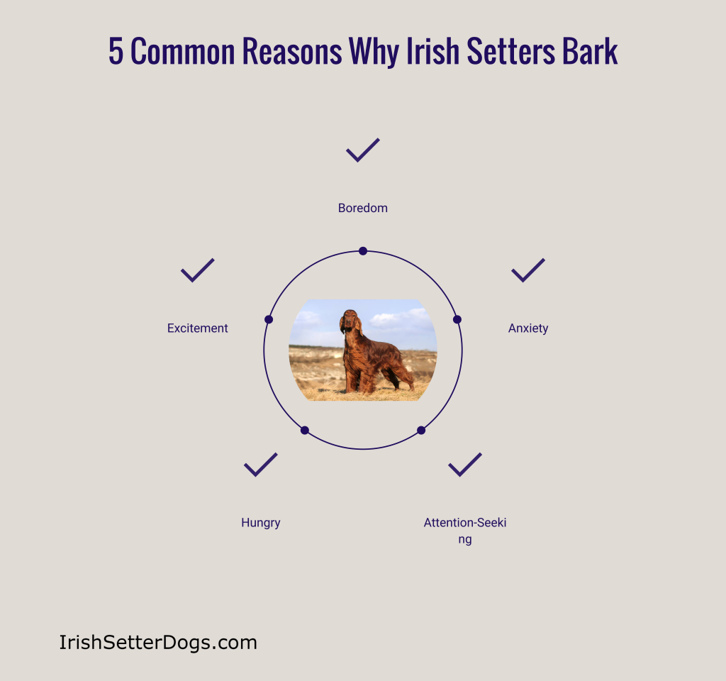 5 Common Reasons Why They Bark