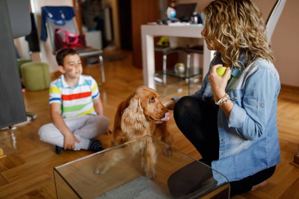 gordon setter temperament