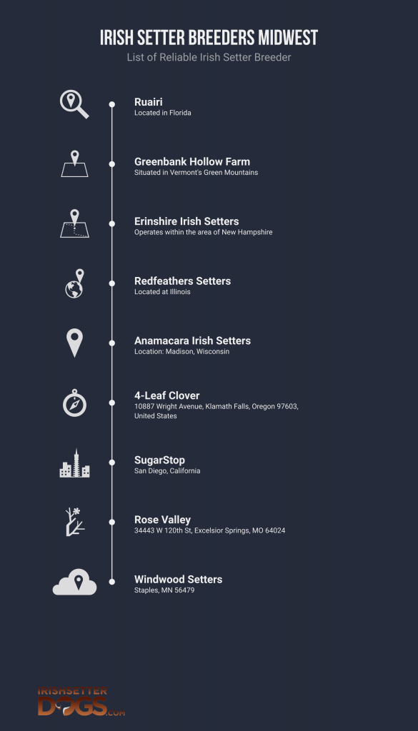 irish setter breeders midwest