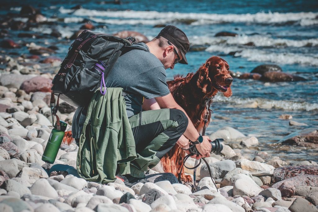 Working Dog Companion