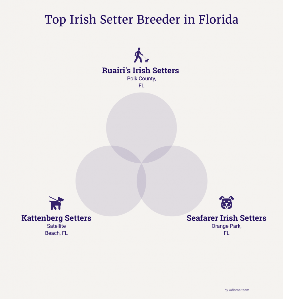 irish setter breeder florida