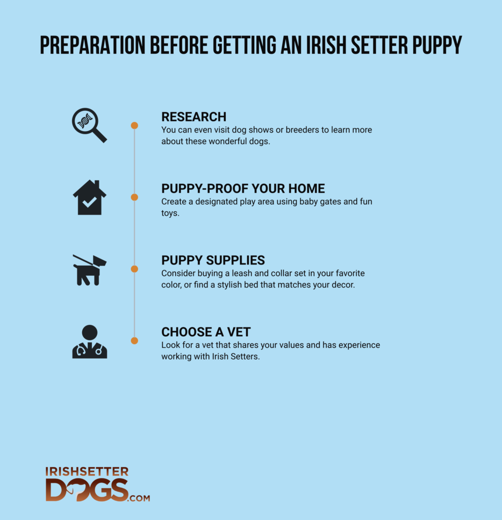 getting an irish setter puppy