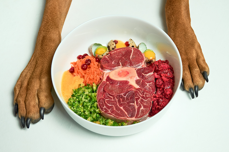 Cons of a Raw Food Diet for Irish Setters