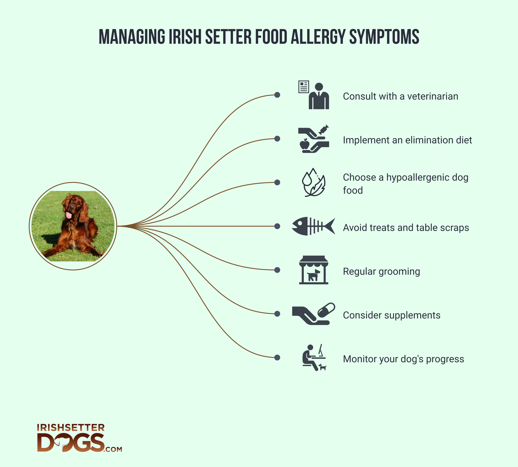 irish setter food allergy