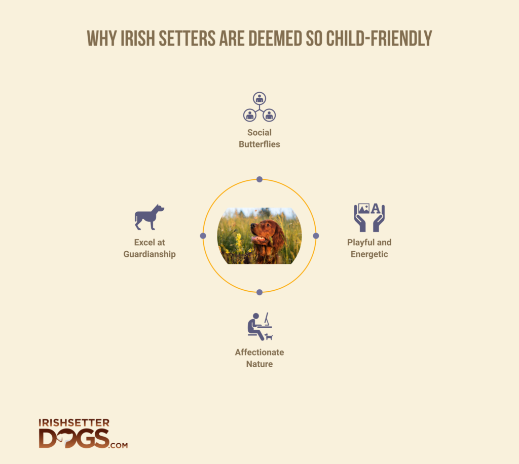 are irish setters child friendly