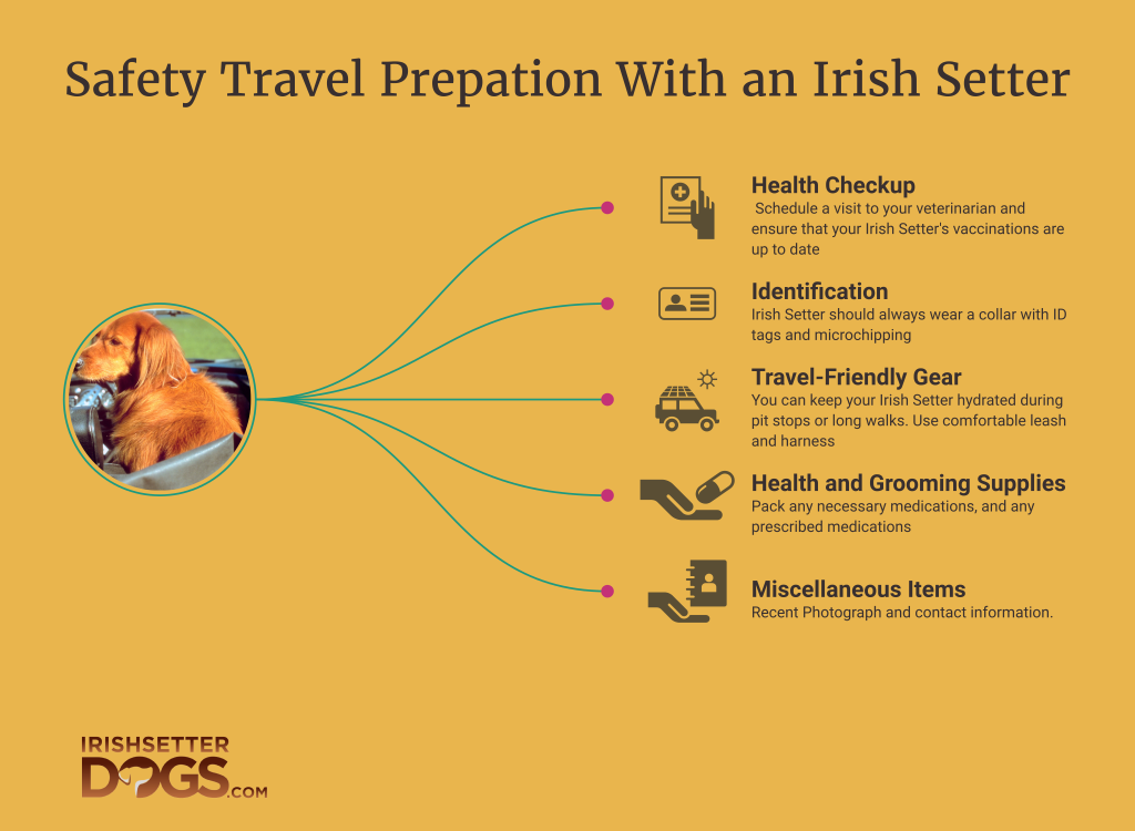 irish setter travel tips